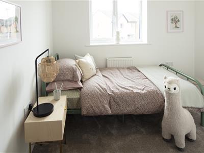 Picture 9